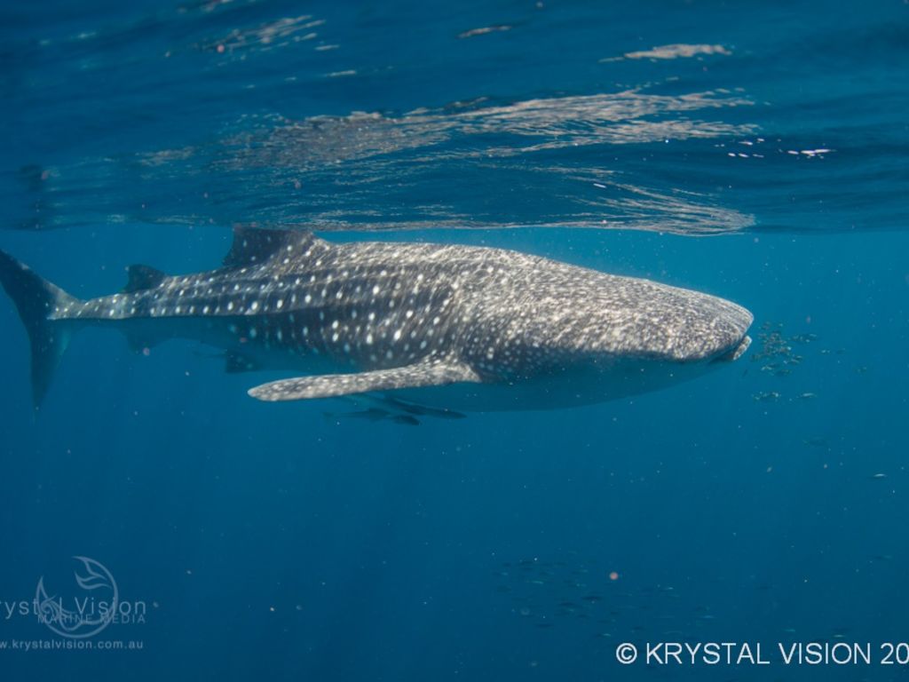 b903196c-88e7-4d4a-ba76-a5e40905355f