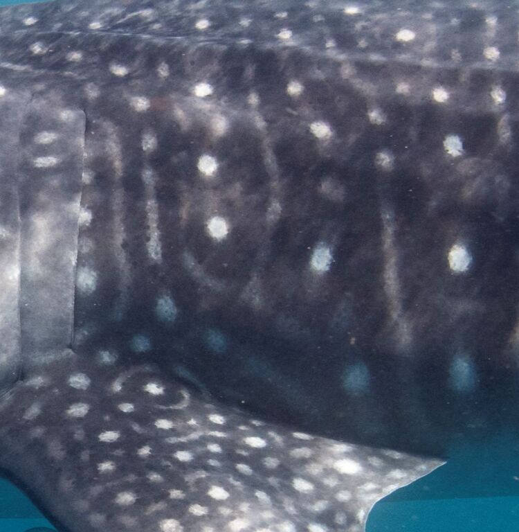 6b2542ae-622c-41bc-90d9-3796457e2f79