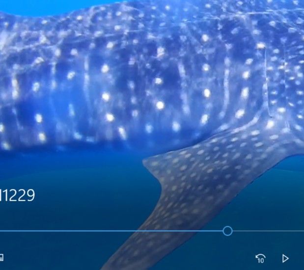 4740d5af-db71-48d1-bc33-91d899cbf55c