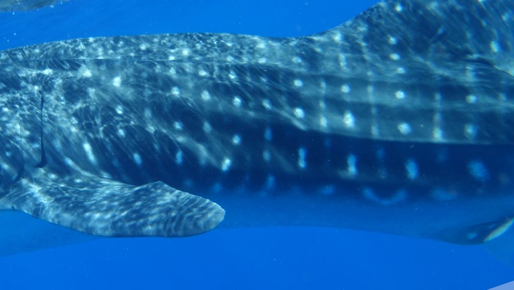 4740d5af-db71-48d1-bc33-91d899cbf55c