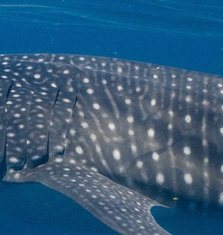 3b8e8505-3f92-40ad-ab43-e1adcd0a2d53