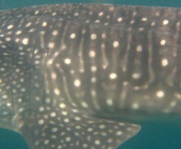 557621e6-a3e5-4199-bf54-db5dd48711c7