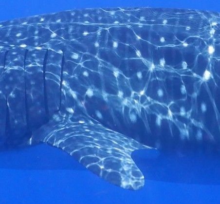 6f0b8fc5-7636-42bc-a2a2-536abea7bc8c