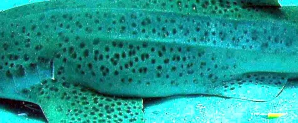 d5116b24-29e5-4177-9e21-6c71c19ddfee