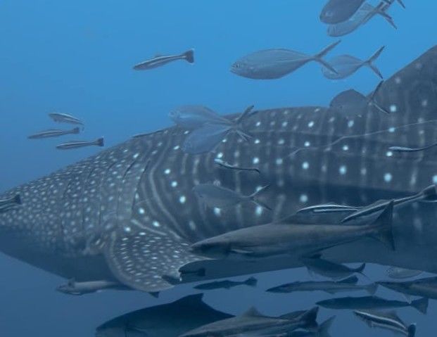 0fe0dcda-b77d-4521-bd84-d962c8c400ce