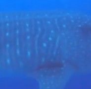 4921c558-a028-4b04-9255-622833b311a4