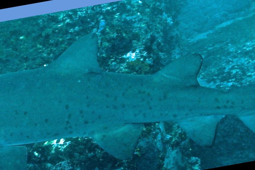 242d10a2-5f69-4181-a98b-e5314a26c49d