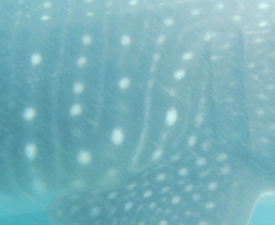 d81eb7c5-78be-42aa-9c0f-c6078c9a3a12