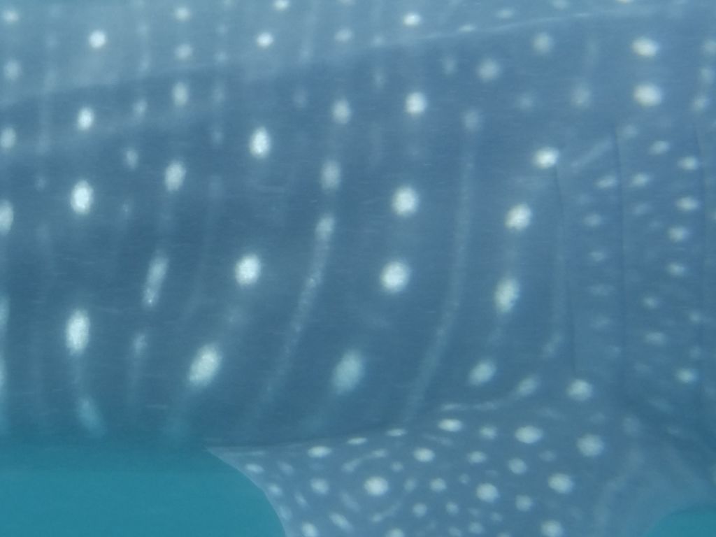 0c2d18bd-89d3-4a5a-b352-61d6013298a9