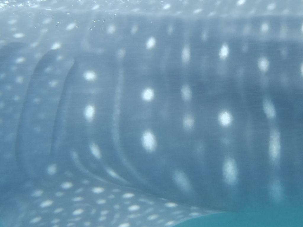 0c2d18bd-89d3-4a5a-b352-61d6013298a9