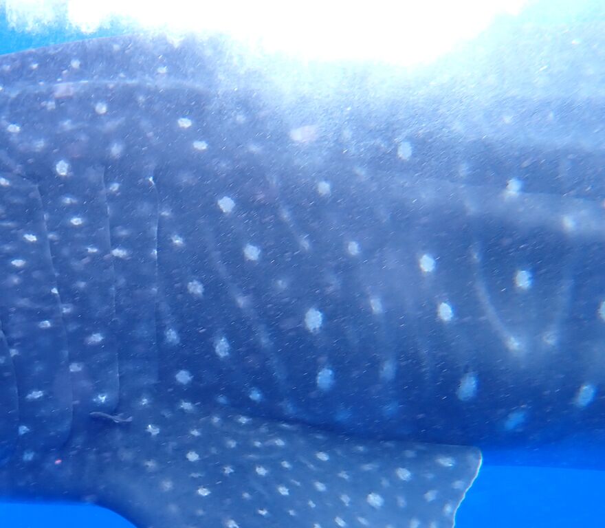 a76461a3-dde3-4140-89f1-bd81deb32920