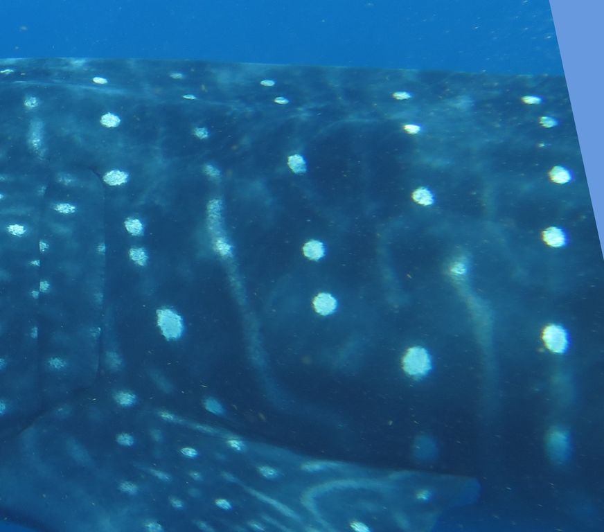 59fcdc48-9dfb-4b85-b198-001499d3d6e1