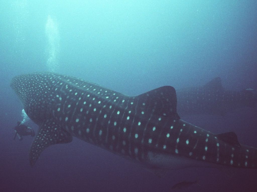 b10f2cca-e567-4a4d-85af-68177528f36e