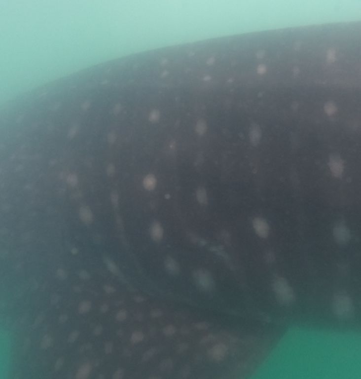 03d7b3fe-6711-4ce0-9ab8-e16e1cd75835