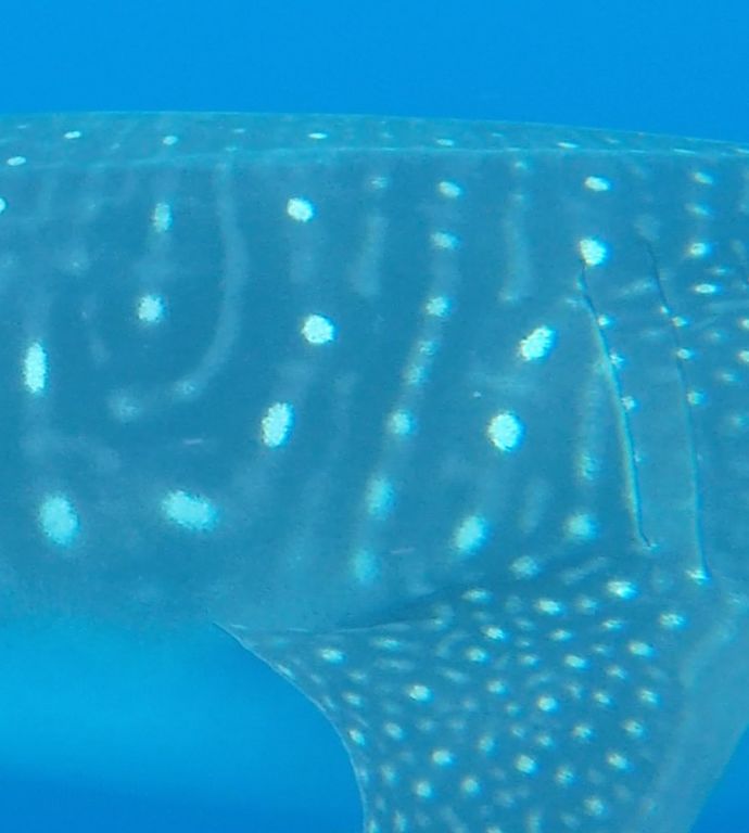 3f33a17f-ba65-44ac-a850-67cf78cfe59c