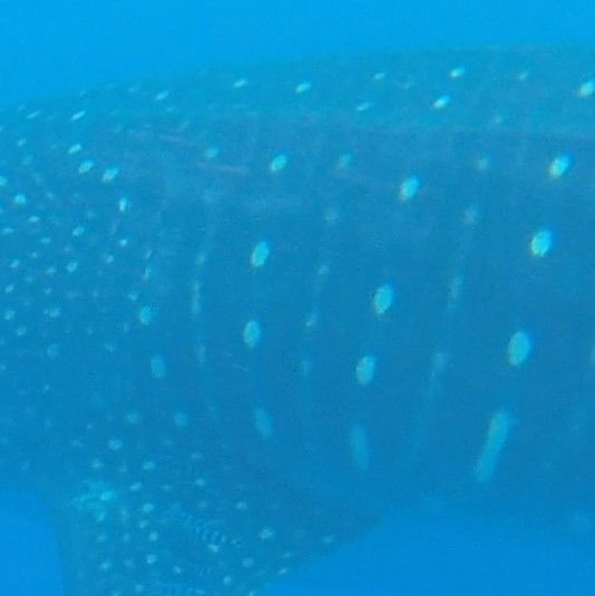 3f33a17f-ba65-44ac-a850-67cf78cfe59c