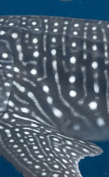 1a98dbf1-f18a-4340-b8ce-51a3e2163515