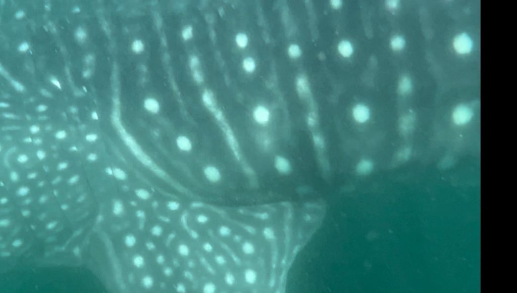 533a94c5-267e-4195-b026-43ccce2560c6