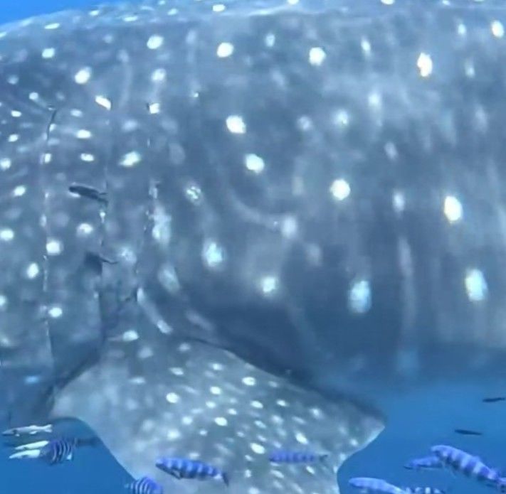 171af2a3-407a-4722-bef3-0254c71ce4e5