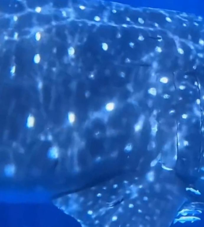 171af2a3-407a-4722-bef3-0254c71ce4e5