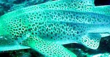 c5eb5637-aab0-4105-ac34-9e305741f45e