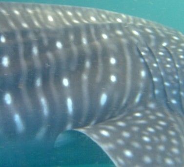 1aff05a6-f38d-4be0-a42e-85ccc774f273