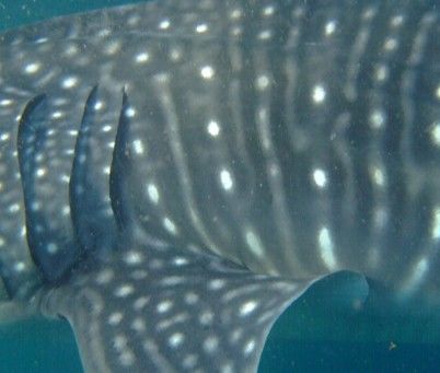 1aff05a6-f38d-4be0-a42e-85ccc774f273