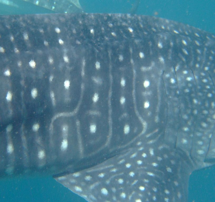 81e5a9fe-acc3-497b-aa46-c82b14e43f7f