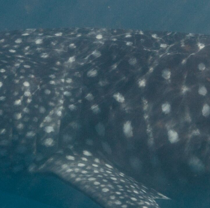 1aa9c1bc-9cb7-49e6-bc8c-5268010945f9