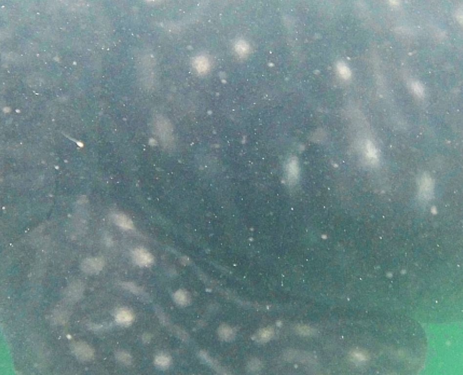 d41acc01-2e0d-4ad2-9e48-9cf2393b28f0