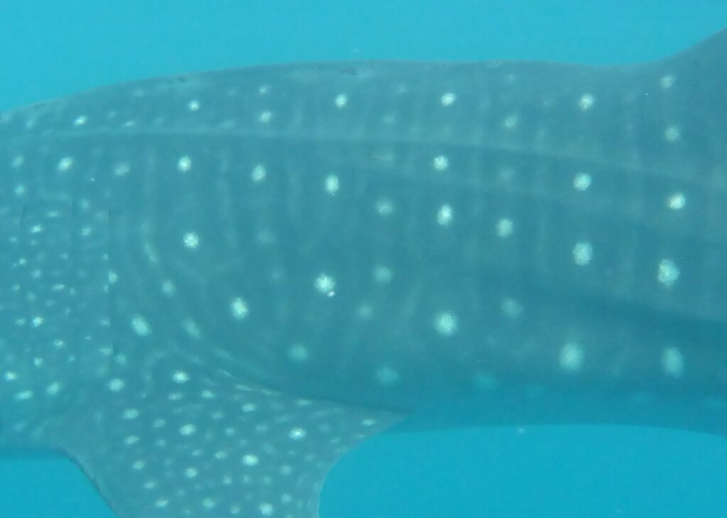 b7ccaab1-583d-4b32-96bf-df4091fff376