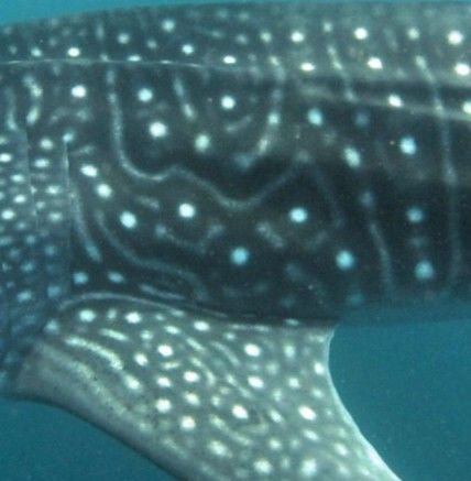 dc5d957a-5ddd-4f5b-ac4d-caa3dc9a3dee