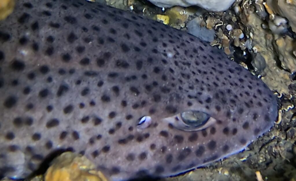 fa6e640d-a564-4ebd-aef7-bb0a35fbf799