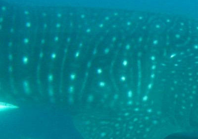 728f15ef-7772-46c6-b159-be3dcbeb9c8c