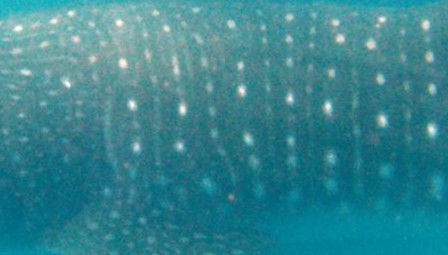 728f15ef-7772-46c6-b159-be3dcbeb9c8c