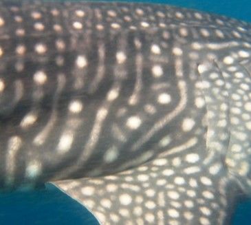 dcd4b9b0-8fa8-48ce-bdf2-aa1440fafa0d