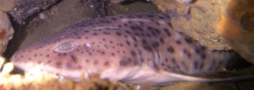 a12f24b8-5a50-4817-b25e-58ce85600c37