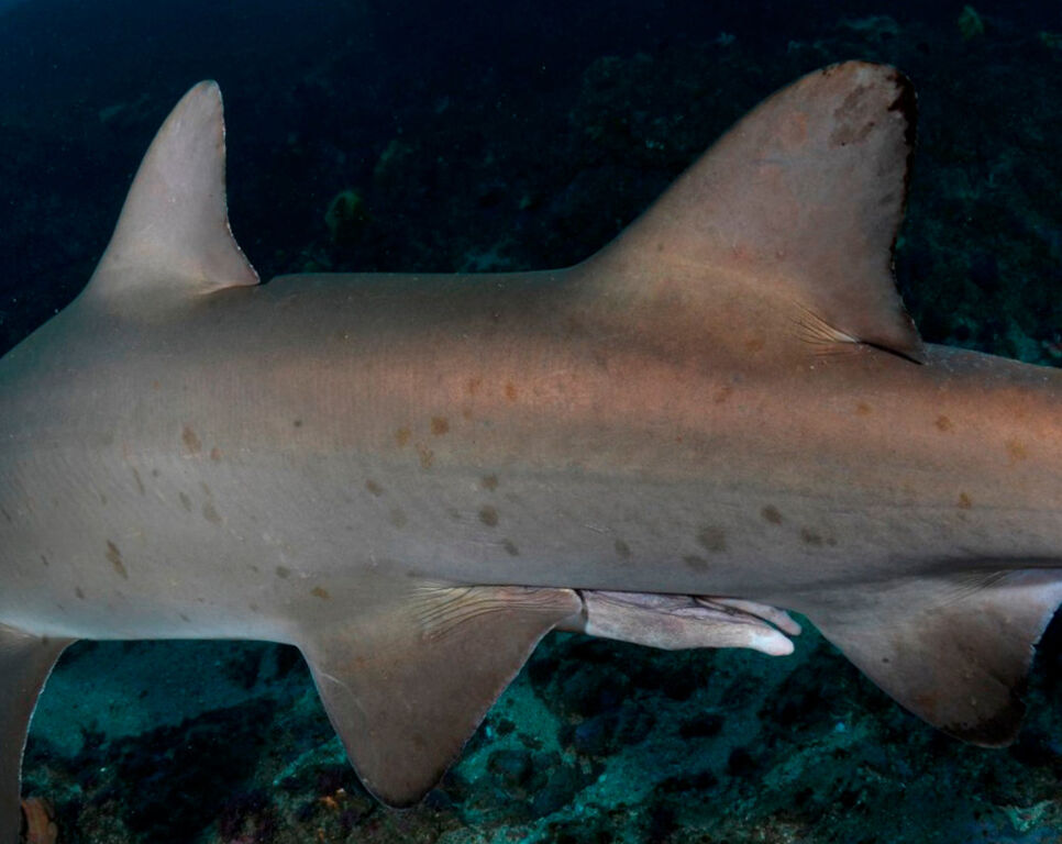 557ae21e-719a-4b44-acad-8ddd1b36c819