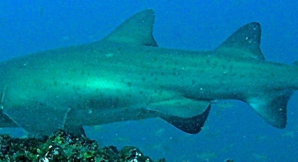 df013a55-cced-4f77-ac4d-94b021b8e8fc