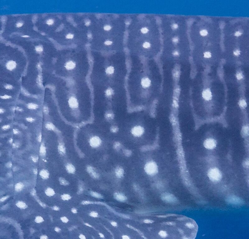 9a4361da-0cb1-42f6-82fc-2d53d8a02b83