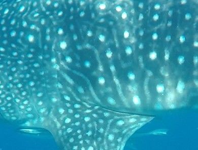 15db62cf-c496-4b23-9ae9-de29f35efc23