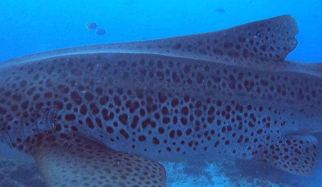 0f16f8d8-f6ad-462c-a672-727744828b43