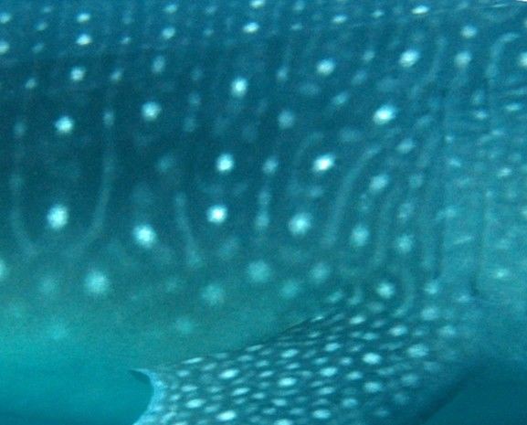 a5713e09-f747-4504-b58c-512b263e6f1f