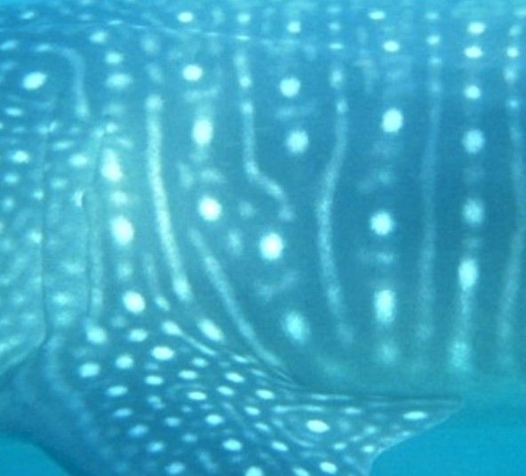 612a5b16-31cd-42e7-8c88-04de013a5a9e