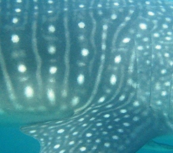 612a5b16-31cd-42e7-8c88-04de013a5a9e