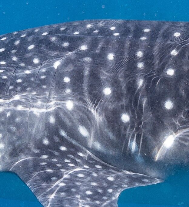 59cb6e64-e4a0-43b6-b2c4-65bfb72be724