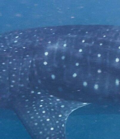 515d0a05-df74-4f85-93a8-4dc17f1d2359