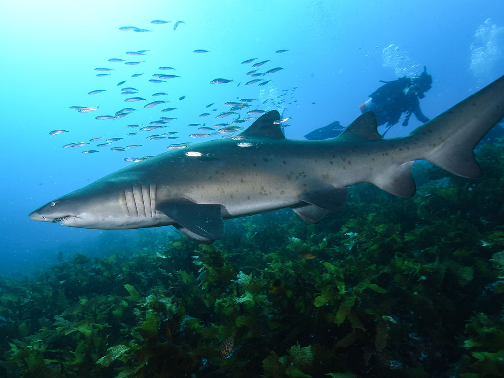 a7705062-3928-40de-9b24-a93861852552