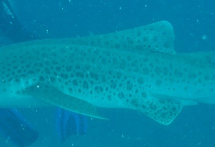 0dc6a00c-7176-4625-ba20-164aab07ccf6