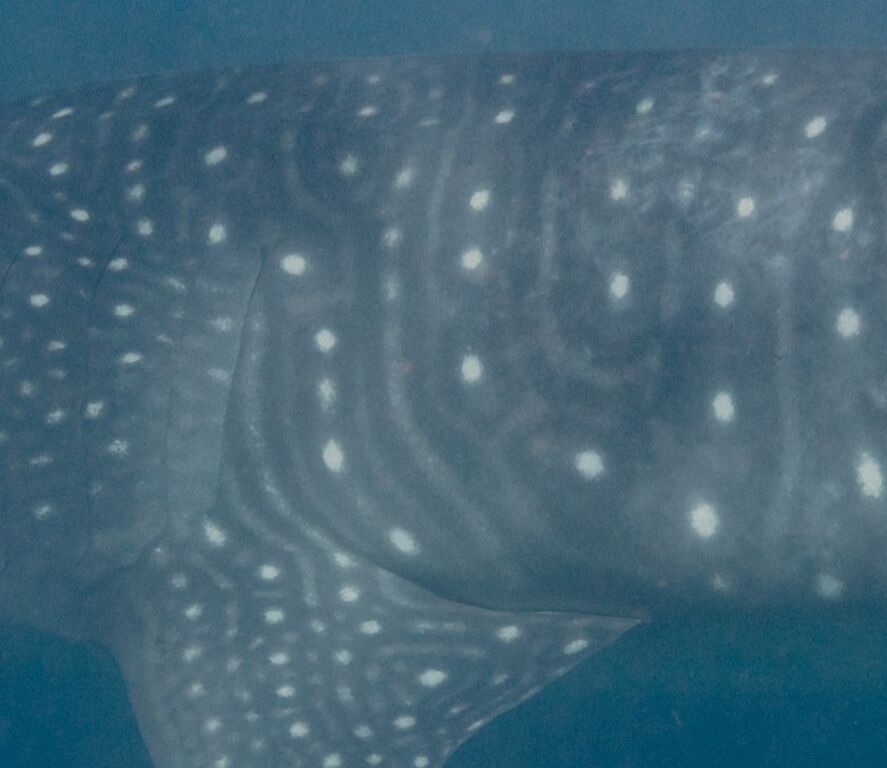 2618e0be-8a52-4f41-9ac8-c9eb71b1aee1